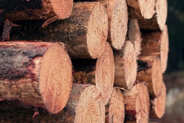 pexels-sasha-vukovic-449306304-34112914